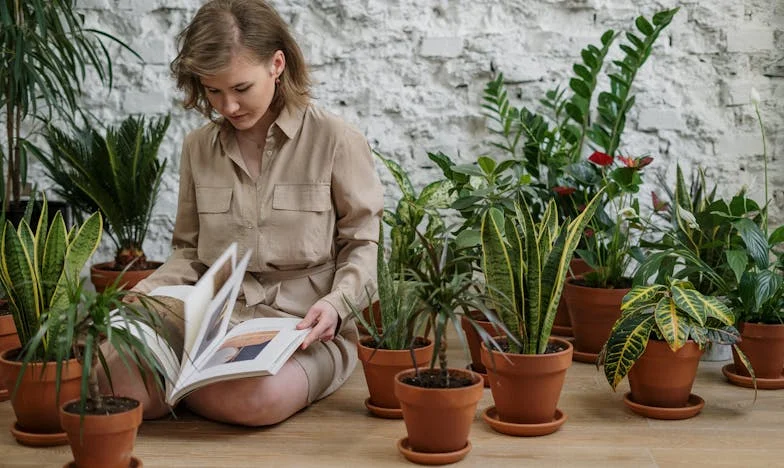 La quête du jardin d'intérieur parfait : Leçons d'amateurs de botanique