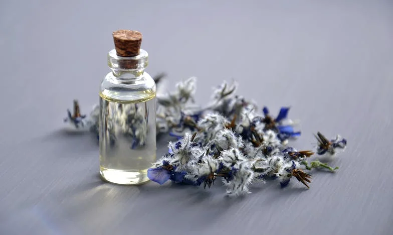 Le Parfum de la Trahison : Comment Mon Odorat Aiguisé a Révélé les Secrets de Mon Mari