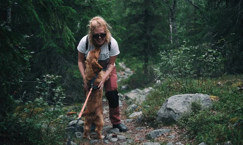 Un homme a planté une forêt de 5 000 érables pour honorer son amour perdu. Deux décennies plus tard, le mystère a été révélé