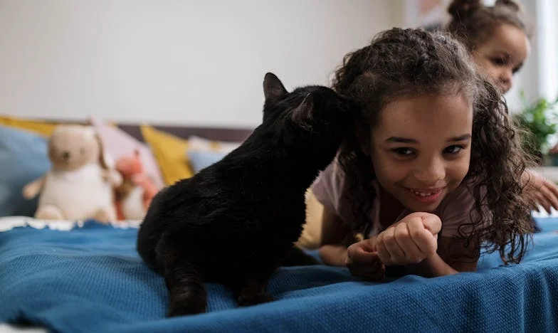 "Lucie a fui son domicile avec ses enfants, Juliette lui a proposé un refuge : mais le mari de Juliette, Sébastien, a refusé de les laisser entrer"